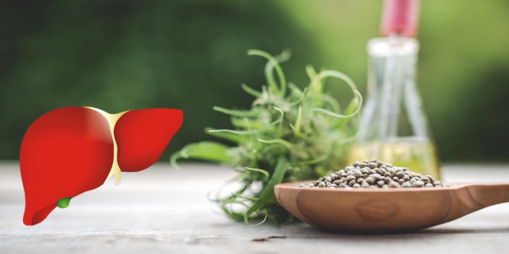 Ayurvedic Liver & Digestive Detox Support