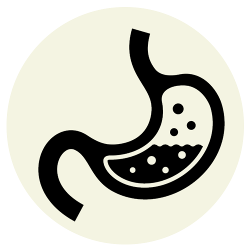 Digestion icon