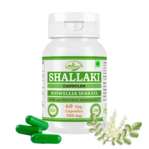 Morsan Nutraveda Shallaki (Boswellia serrata) Capsules