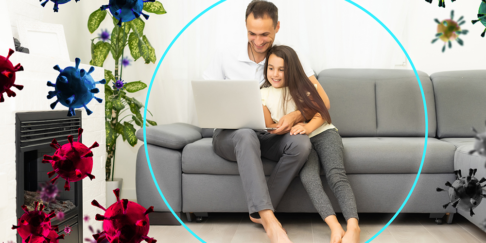 Top Ayurvedic Herbs That Naturally Boost Immunity and Daily Strength